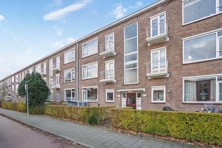 Wijnandt van Elststraat 48