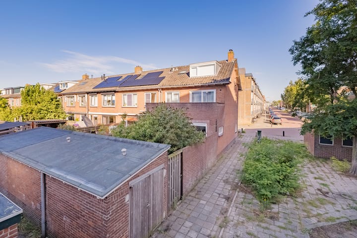 Foto 2 van Dolfijnstraat 228