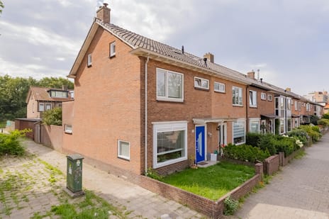 Dolfijnstraat thumbnail
