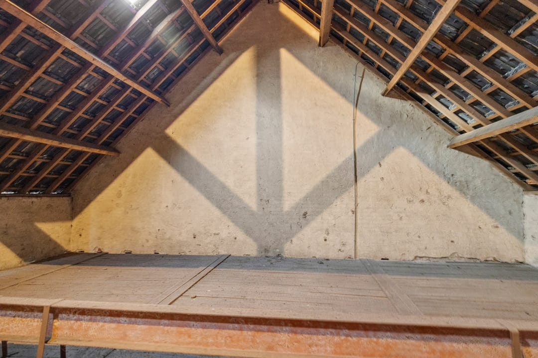 Photo 47 of De Brentjes 53