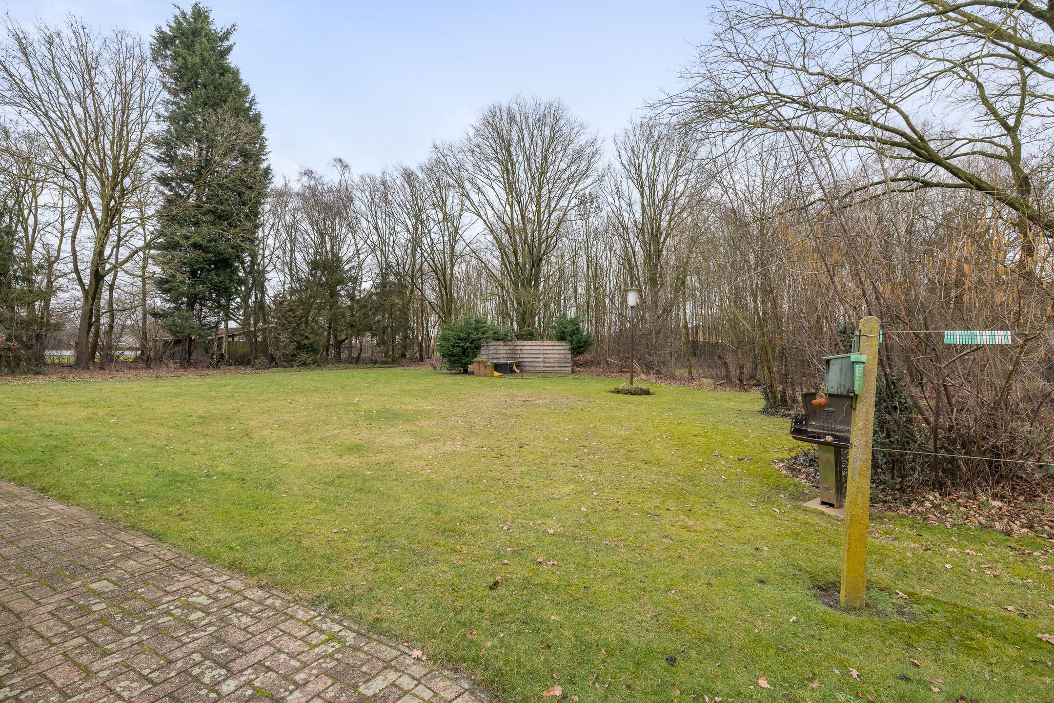 Photo 48 of De Brentjes 53