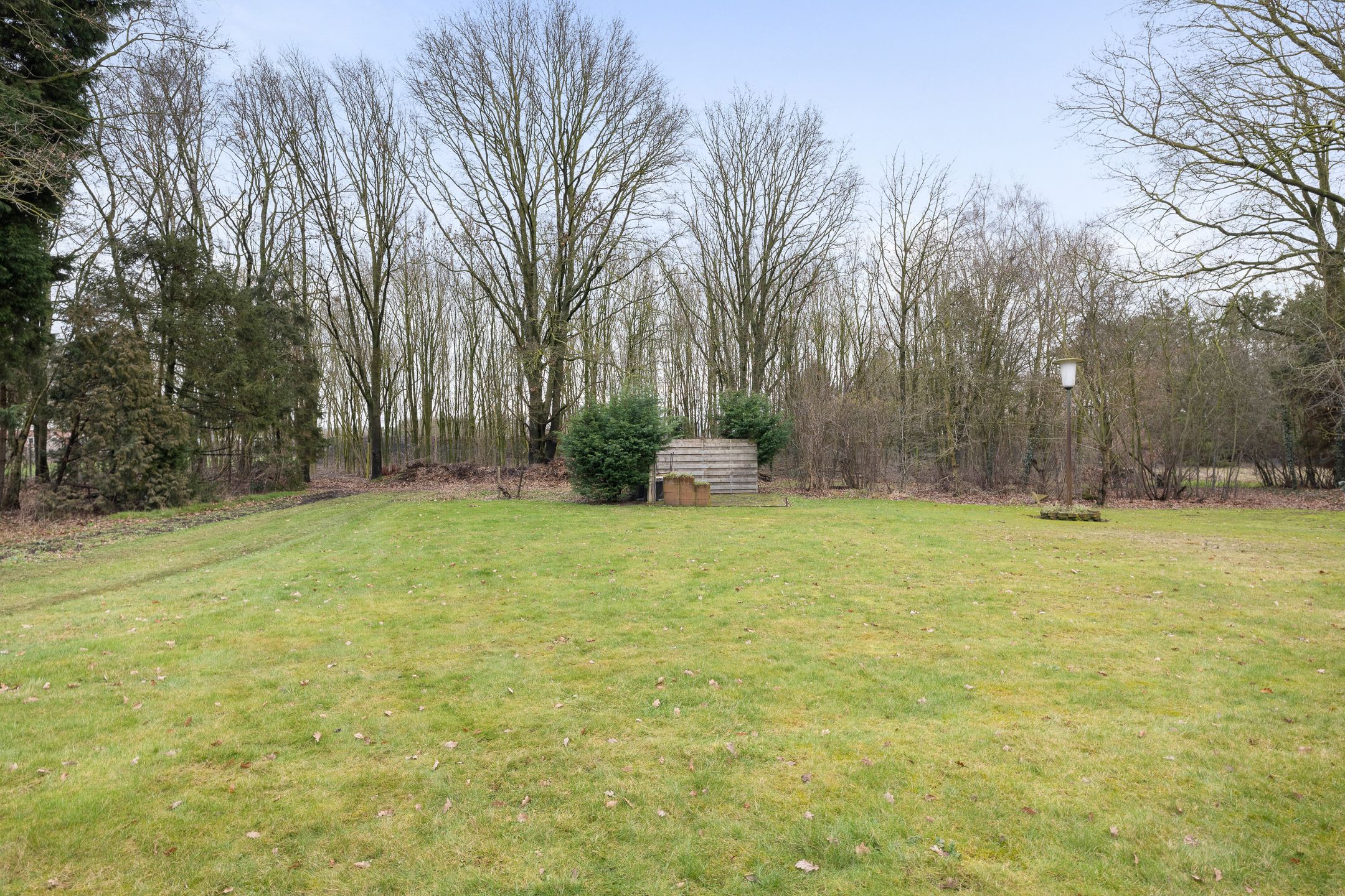 Photo 51 of De Brentjes 53