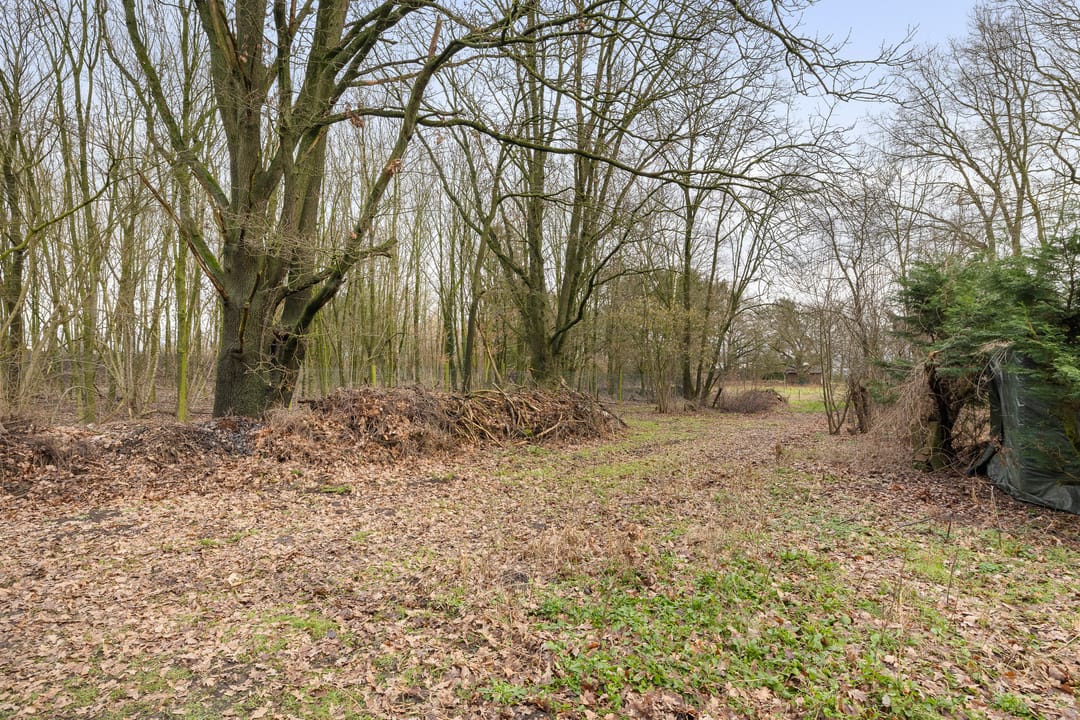 Photo 53 of De Brentjes 53