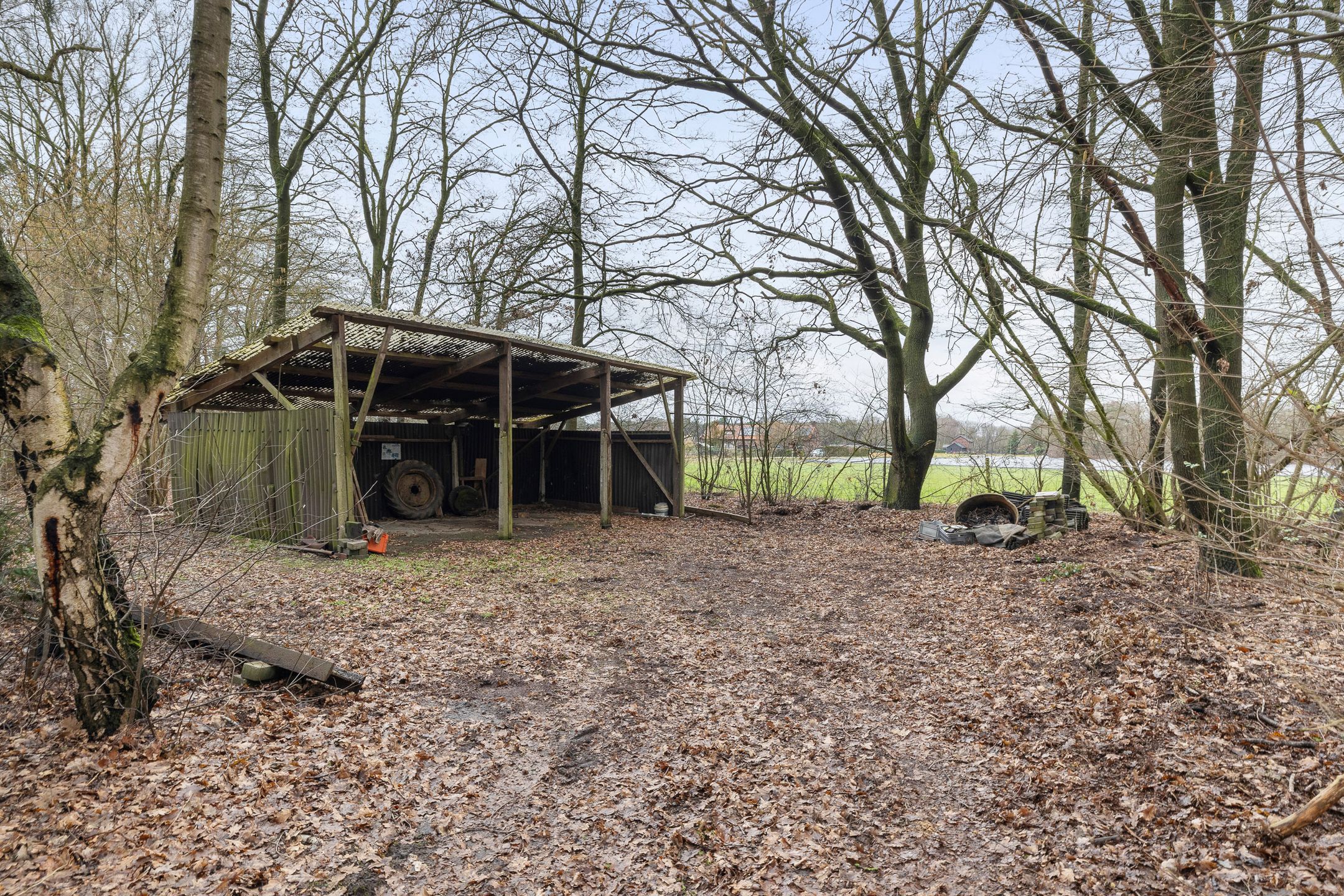 Photo 54 of De Brentjes 53