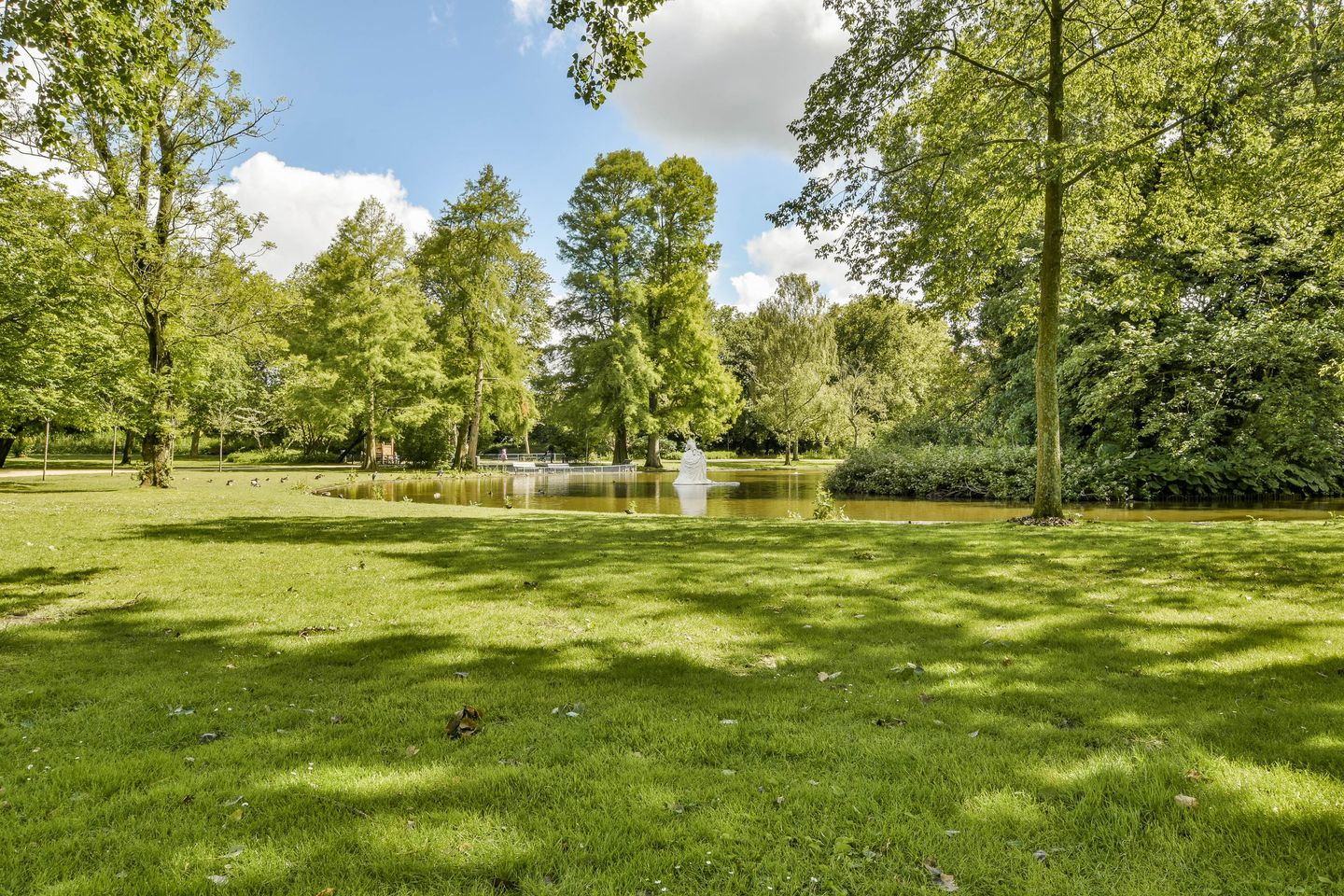 Foto 10 van Zaanstraat 457