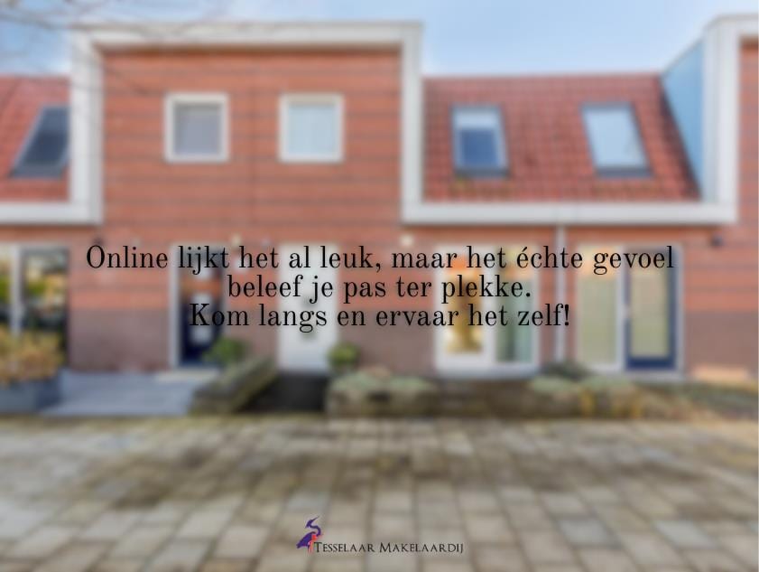 Photo 45 of Neeltje Lokerseland 19