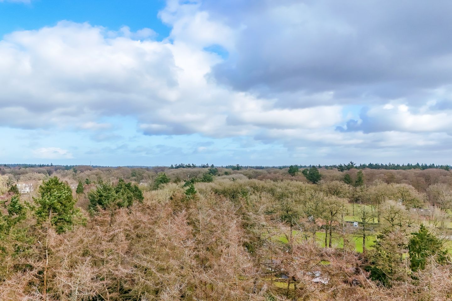 Foto 4 van Koudelaan 15
