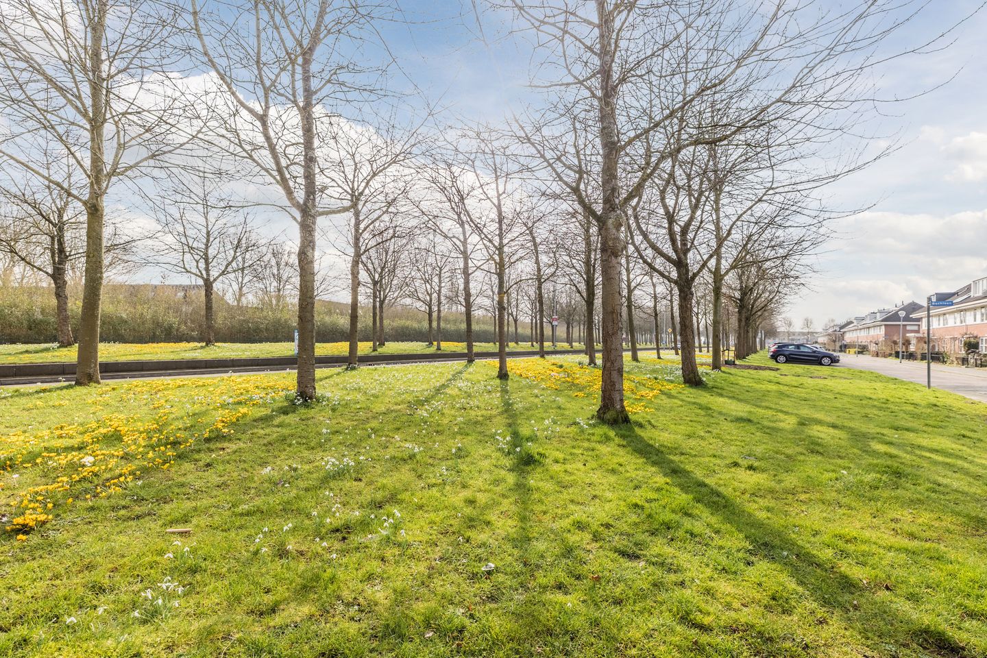 Foto 49 van Schubertlaan 74