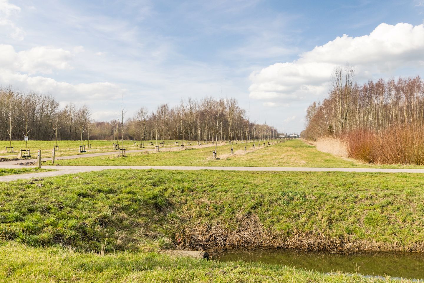 Foto 50 van Schubertlaan 74