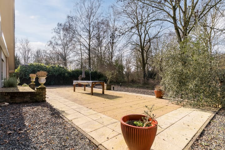 Photo 3 of C. Fabritiuspark 14