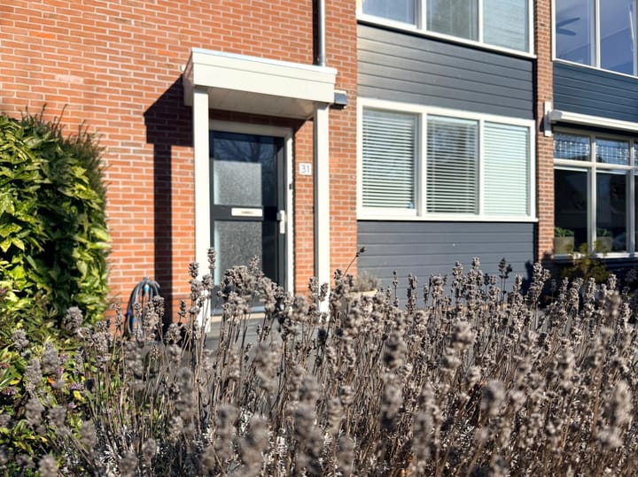 Foto 2 van Duindoornstraat 31