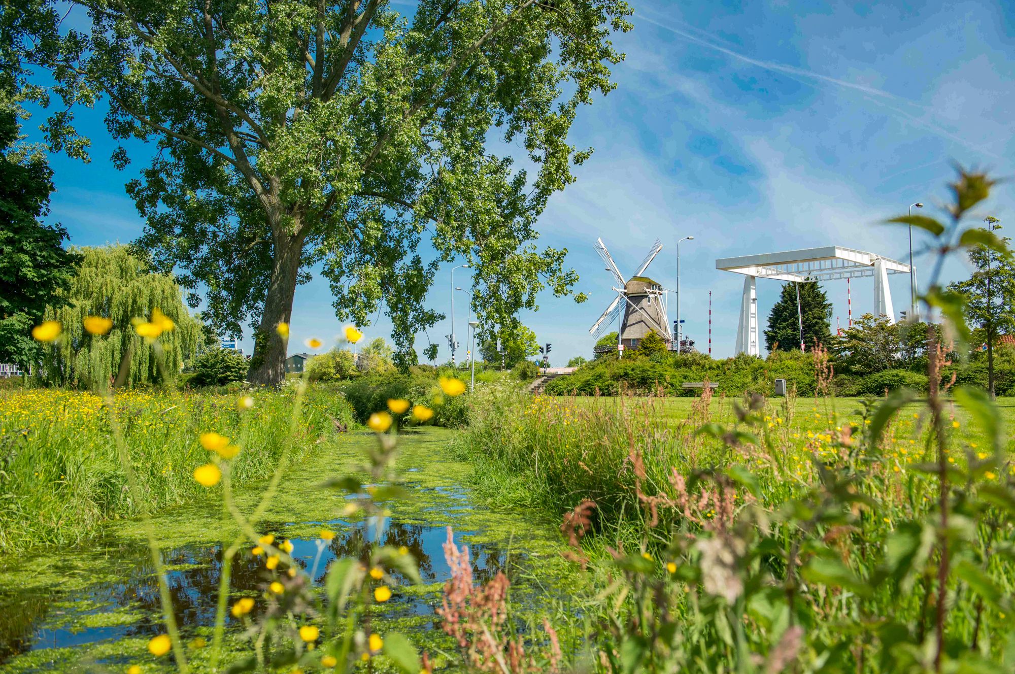 Photo 36 of Hebridenlaan 30