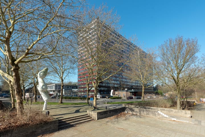 Foto 3 van Laan van Vollenhove 218