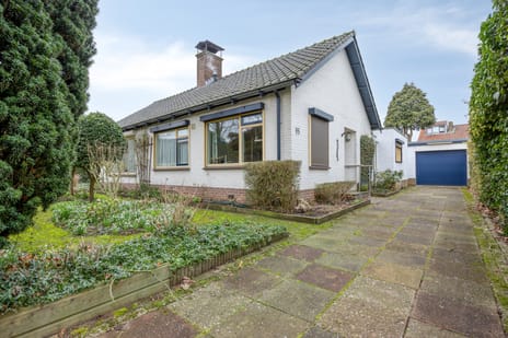 Koninginnelaan thumbnail