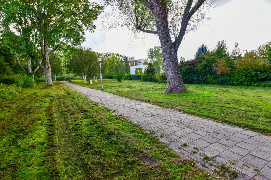 Foto 17 van Van Boshuizenstraat 501