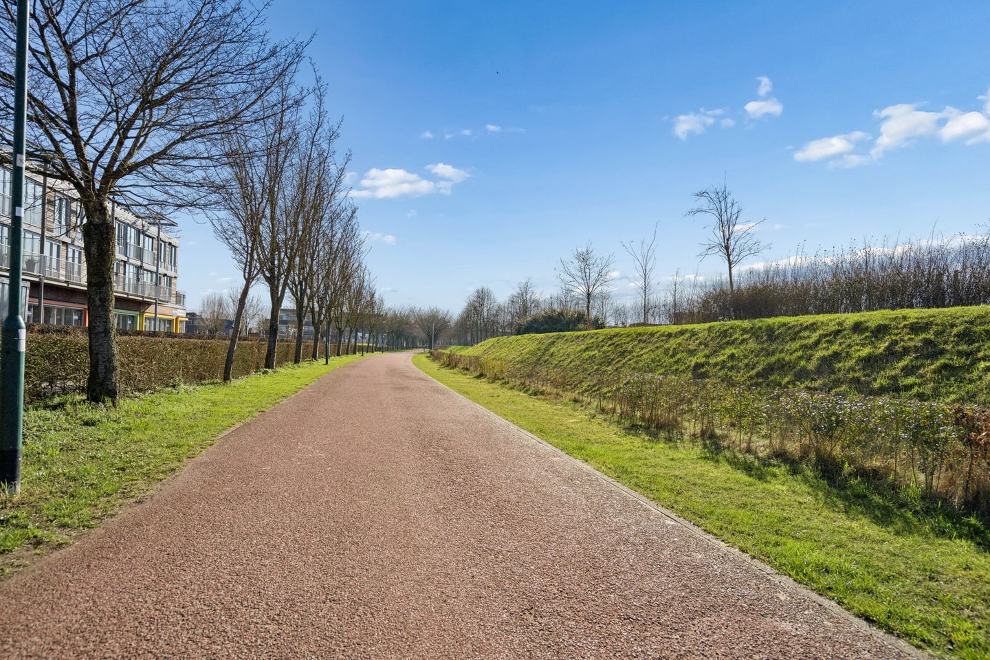 Photo 44 of Bronmos 48