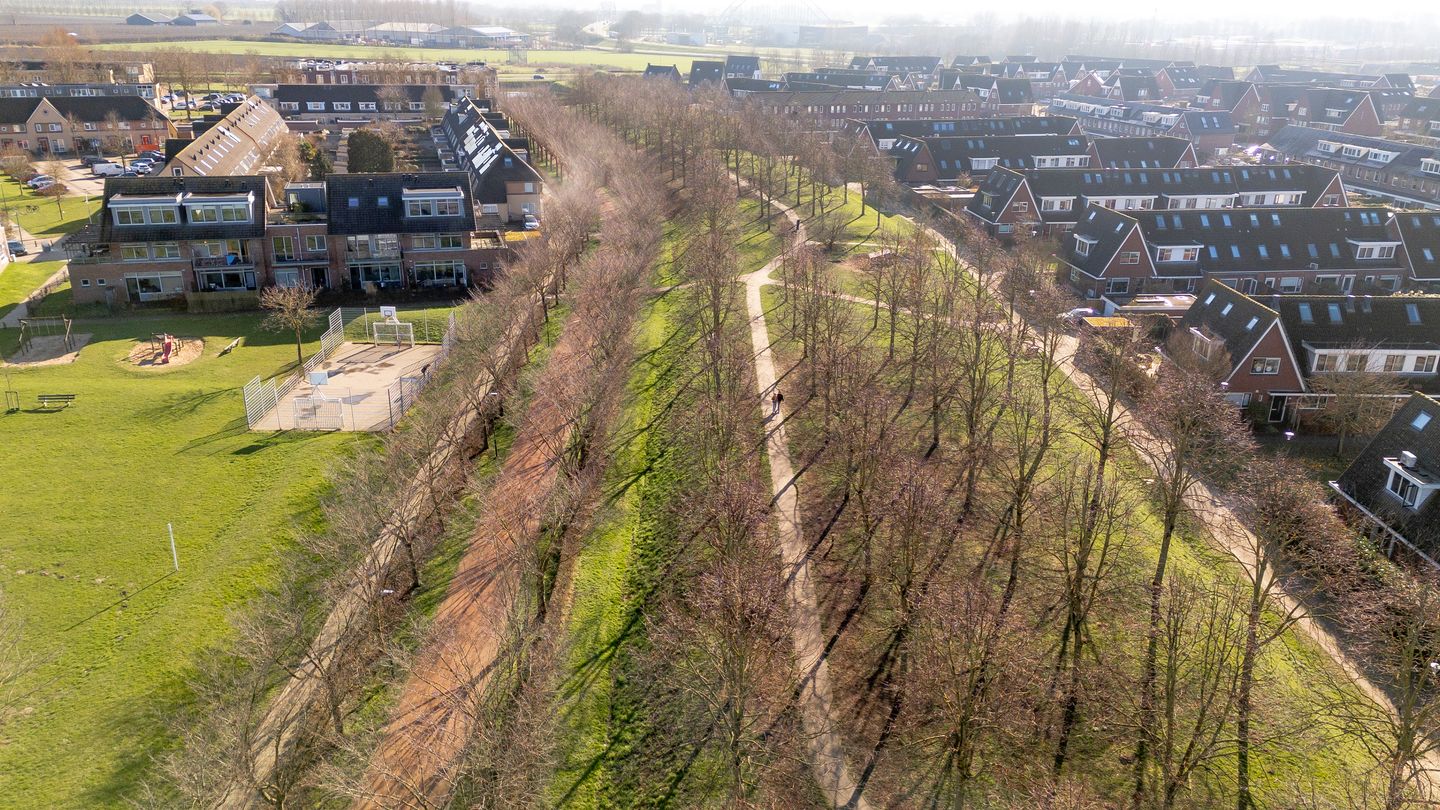 Photo 49 of Bronmos 48