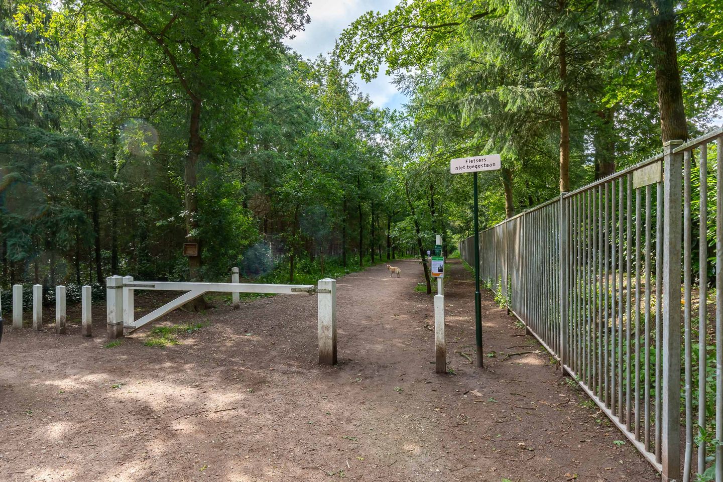 Foto 40 van Zandbergenlaan 101