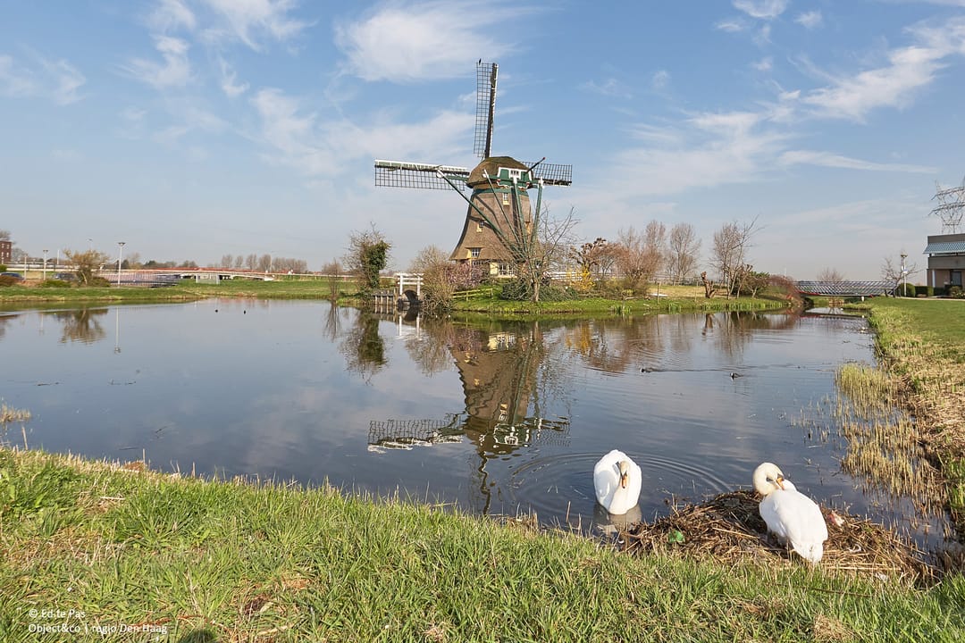 Photo 31 of Vorstenhof 56