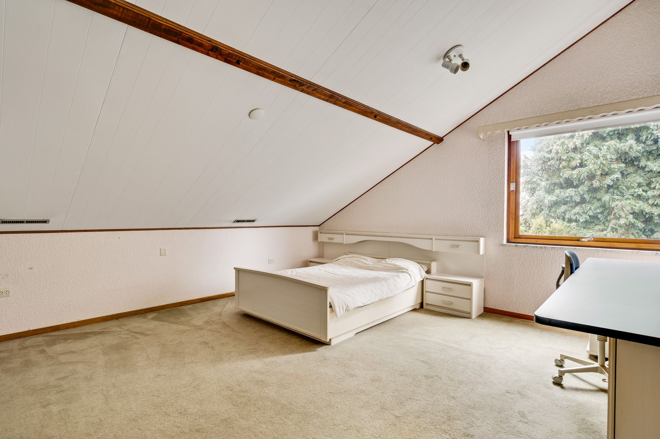 Foto 21 van Groenerein 53