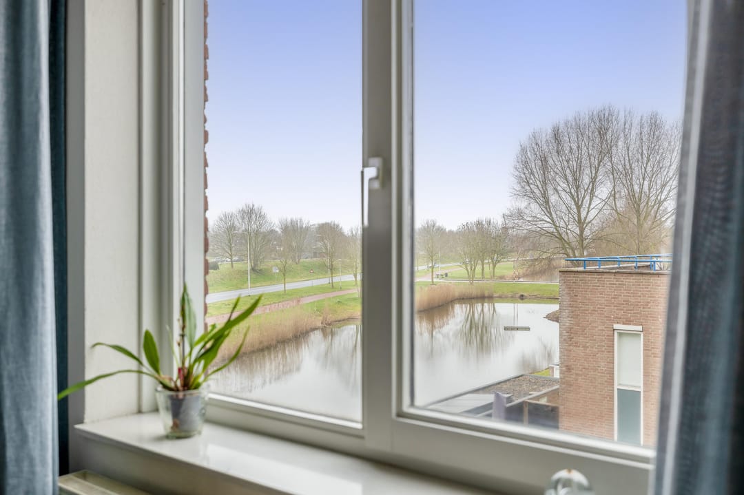 Photo 11 of Egelantier 22