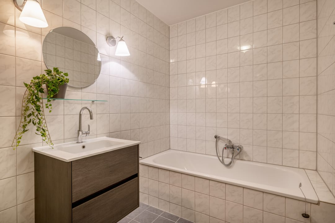 Photo 23 of Egelantier 22