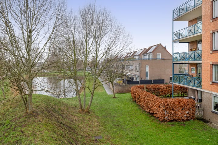 Foto 4 van Egelantier 22