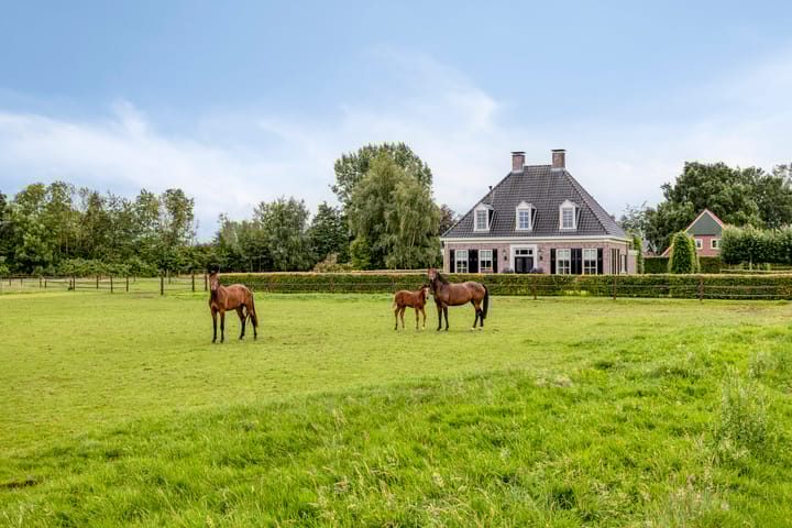 Bollenweg 5 main image