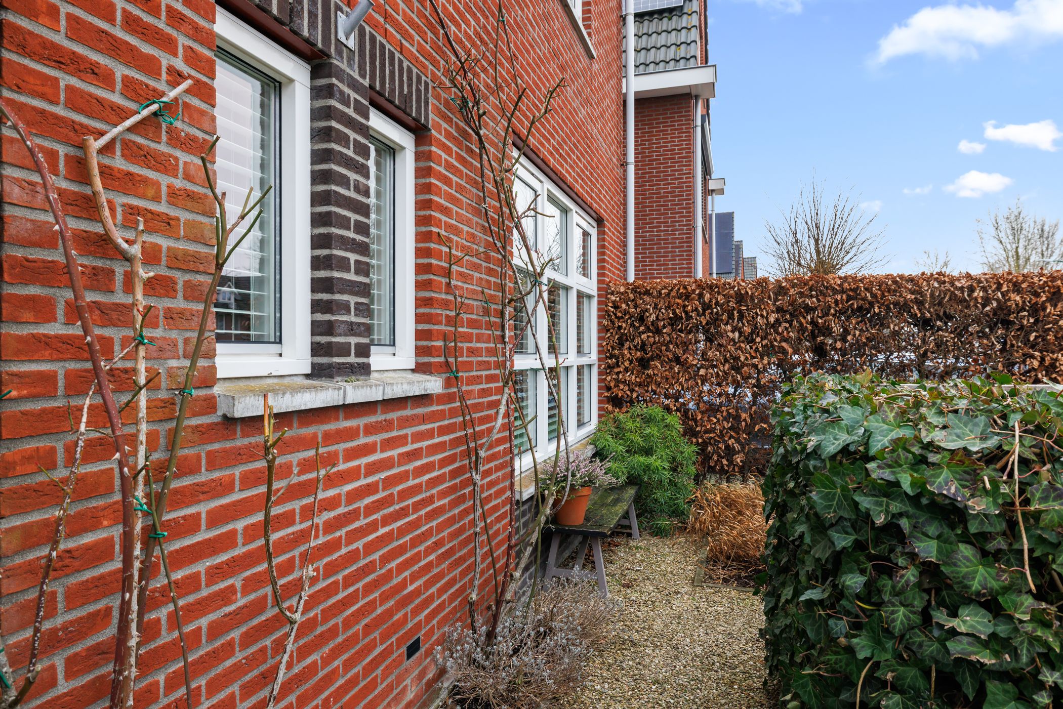 Foto 51 van Kamgras 44