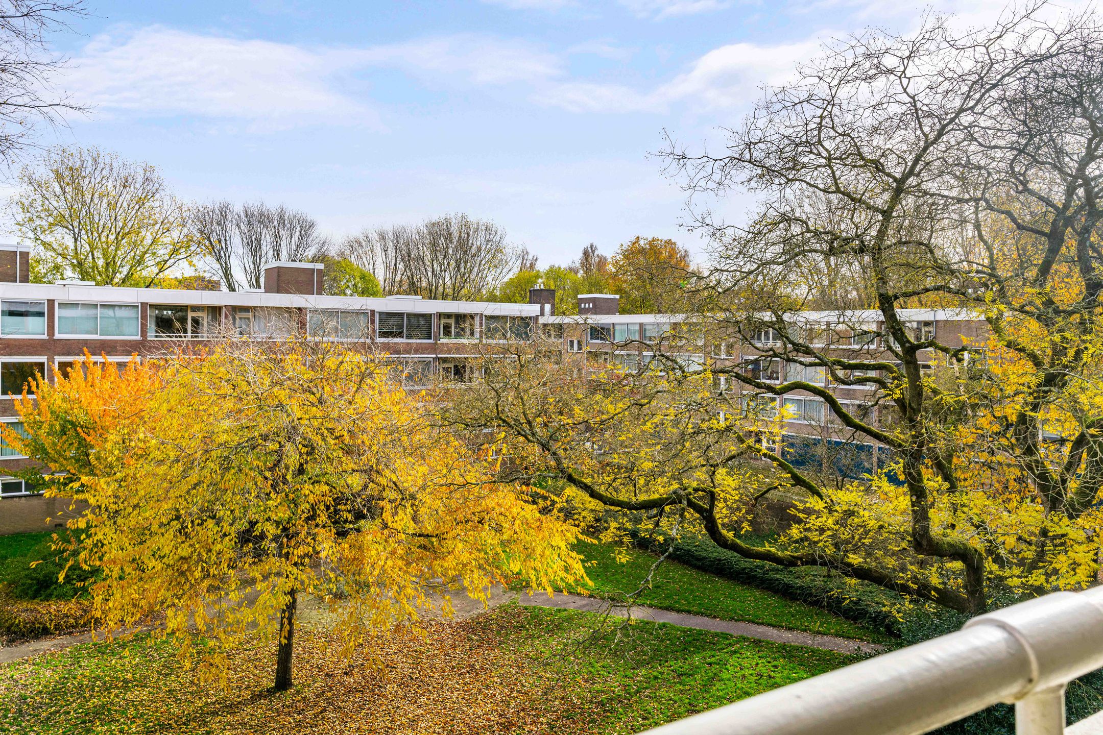 Photo 21 of Kiefskamp 27