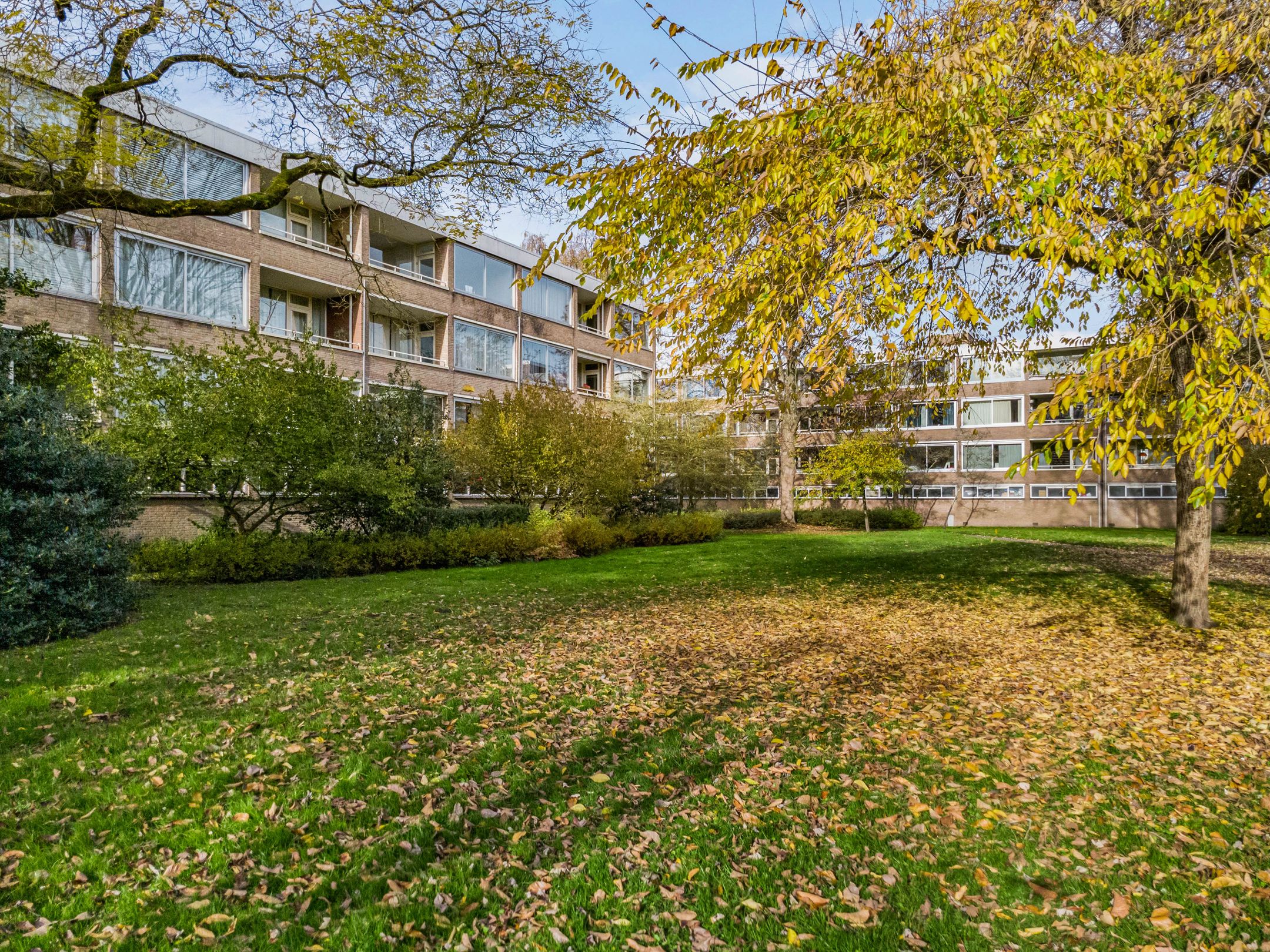 Photo 30 of Kiefskamp 27