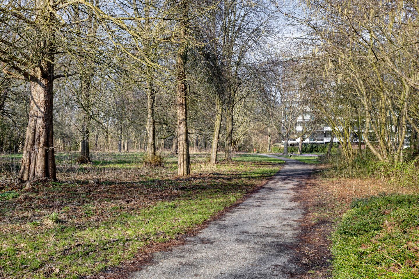 Foto 40 van Maria Dermoutlaan 22