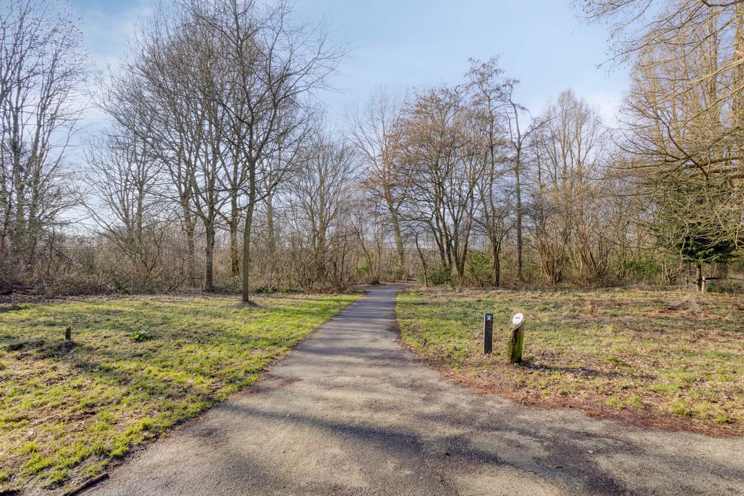 Foto 41 van Maria Dermoutlaan 22