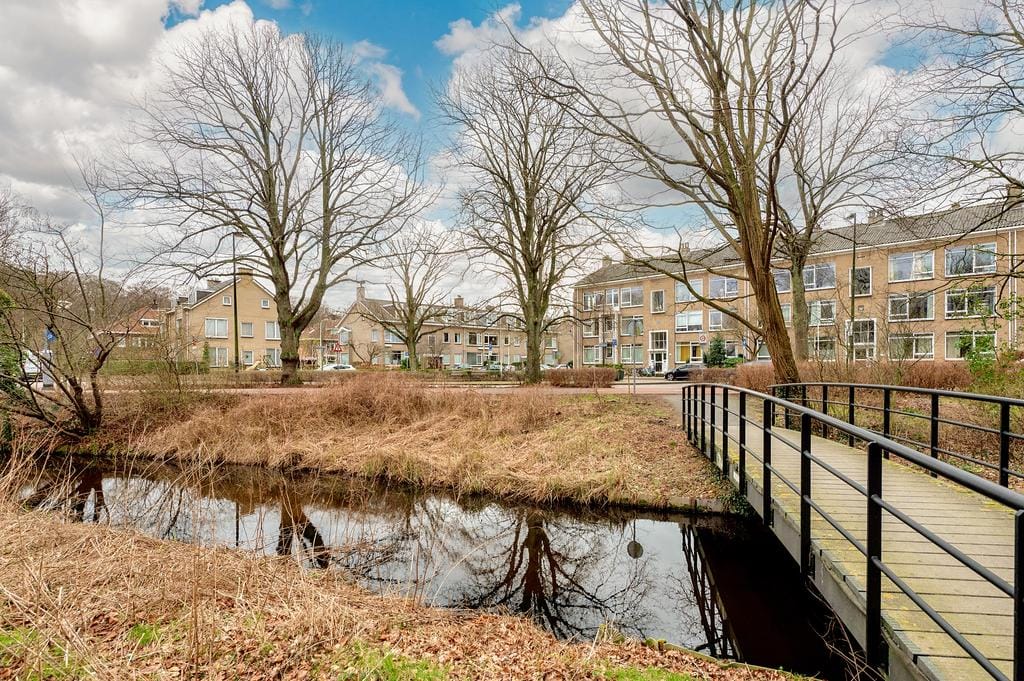 Foto 3 van Thérèse Schwartzestraat 18