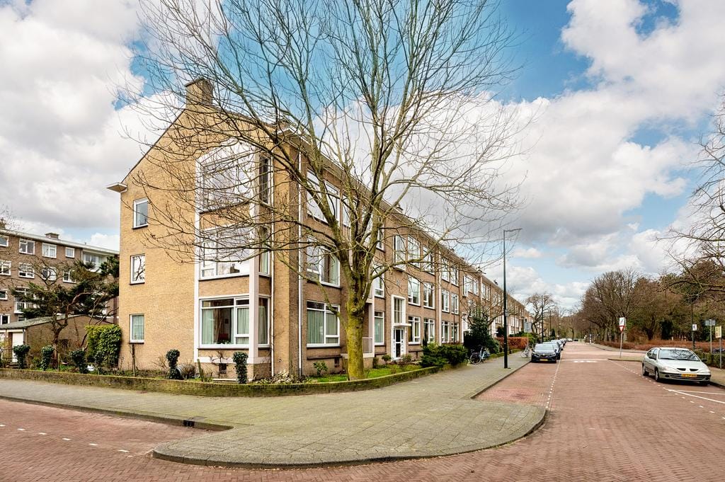 Foto 36 van Thérèse Schwartzestraat 18