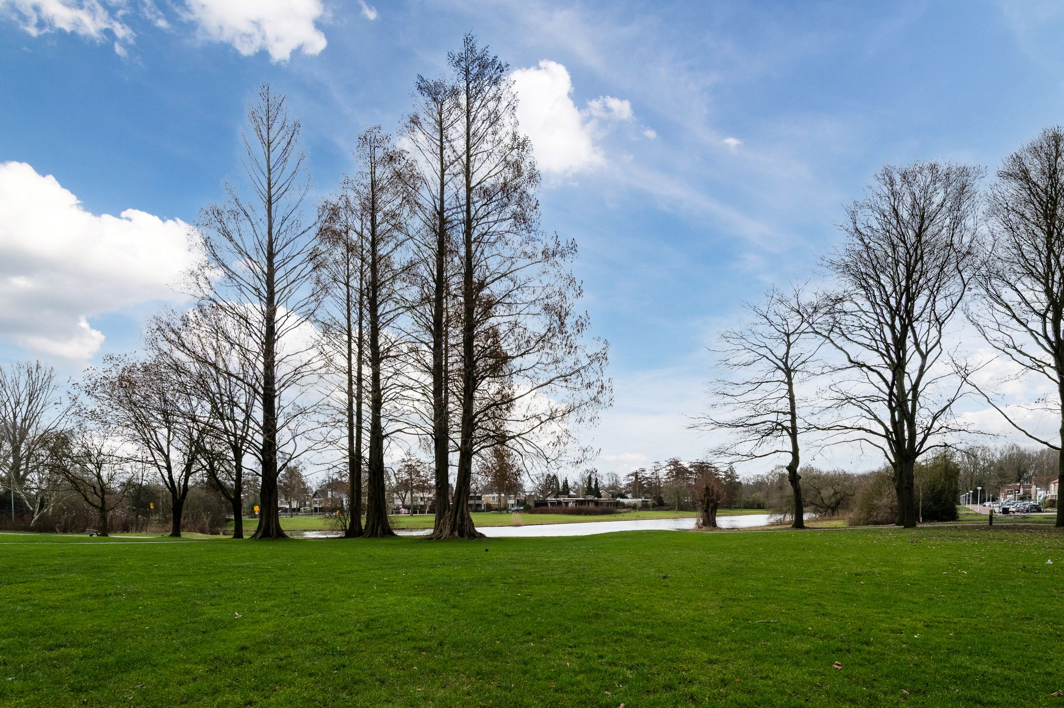 Foto 36 van Penelopestraat 221