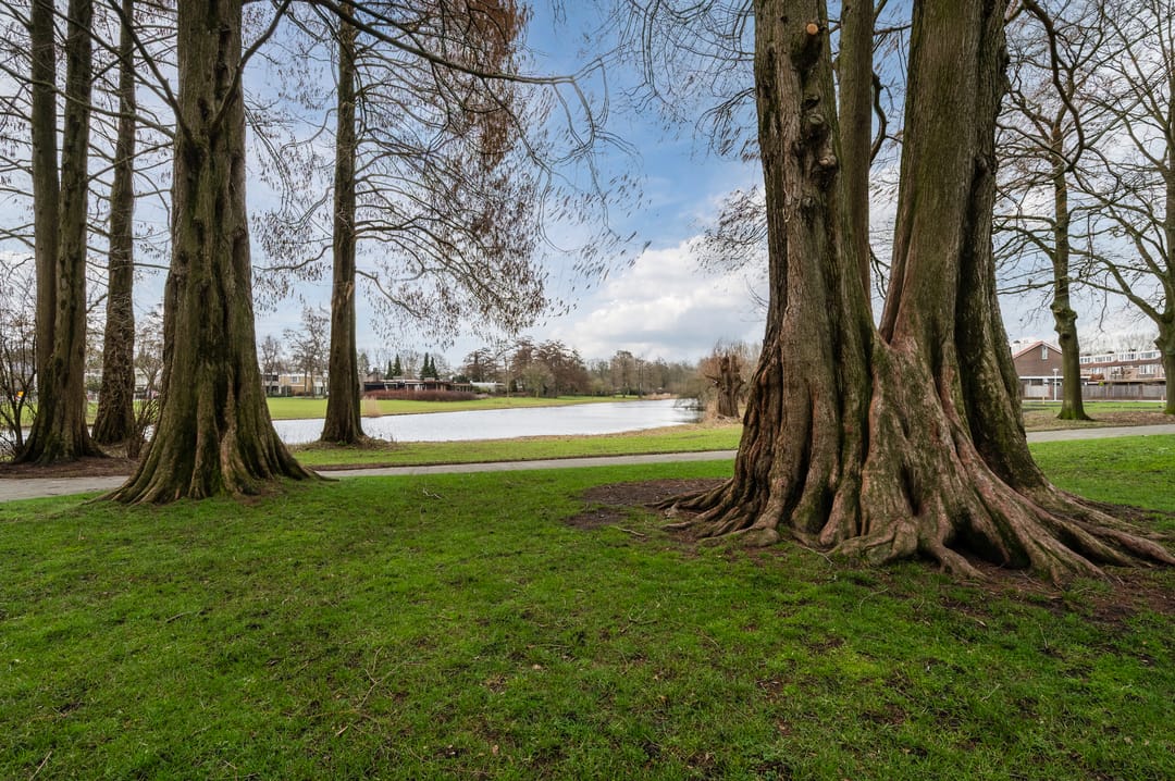 Foto 37 van Penelopestraat 221