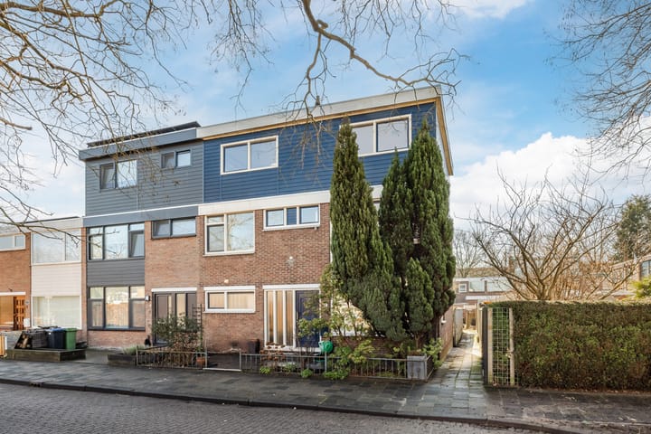 Foto 3 van Swammerdamstraat 11