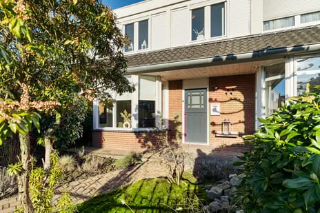 undefined main image