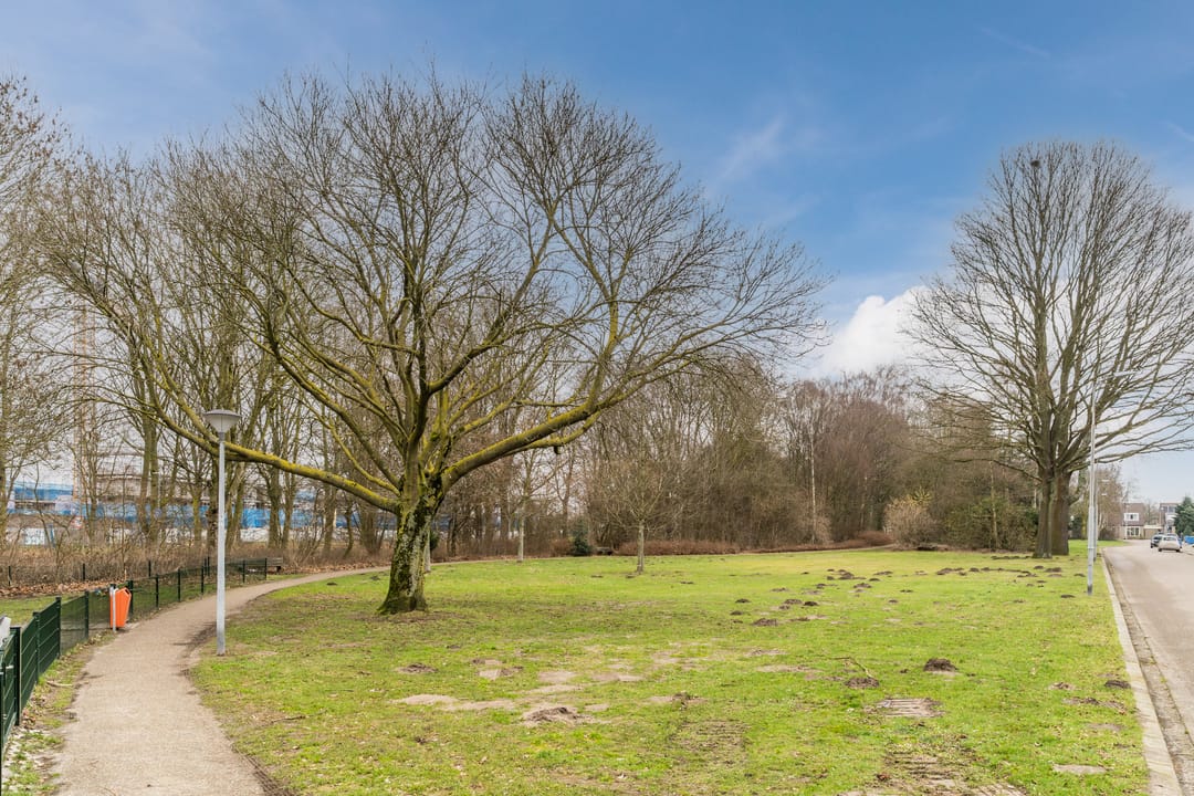 Photo 31 of De Reijenburg 142
