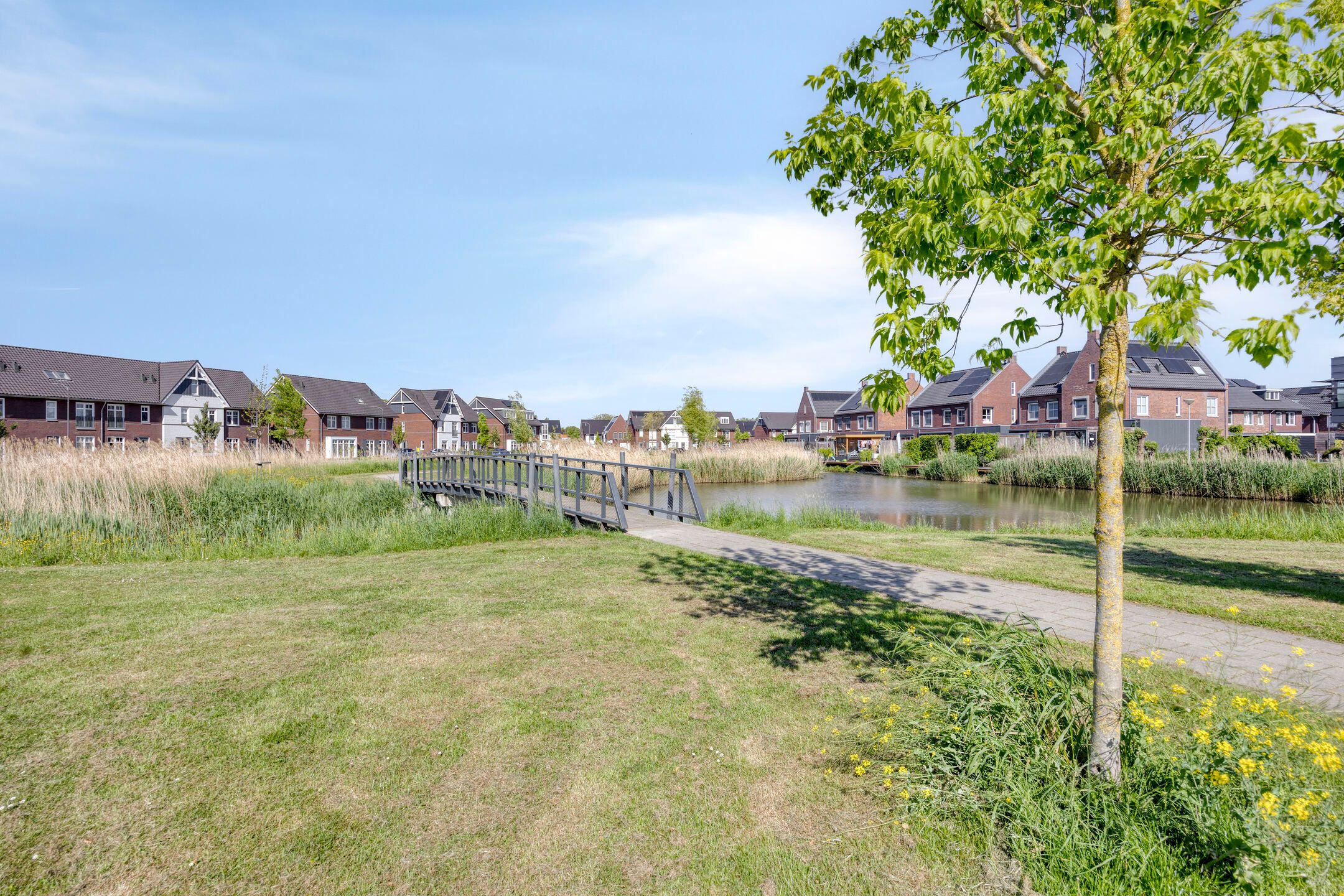 Photo 45 of Anemoonstraat 44