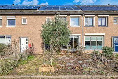 undefined main image