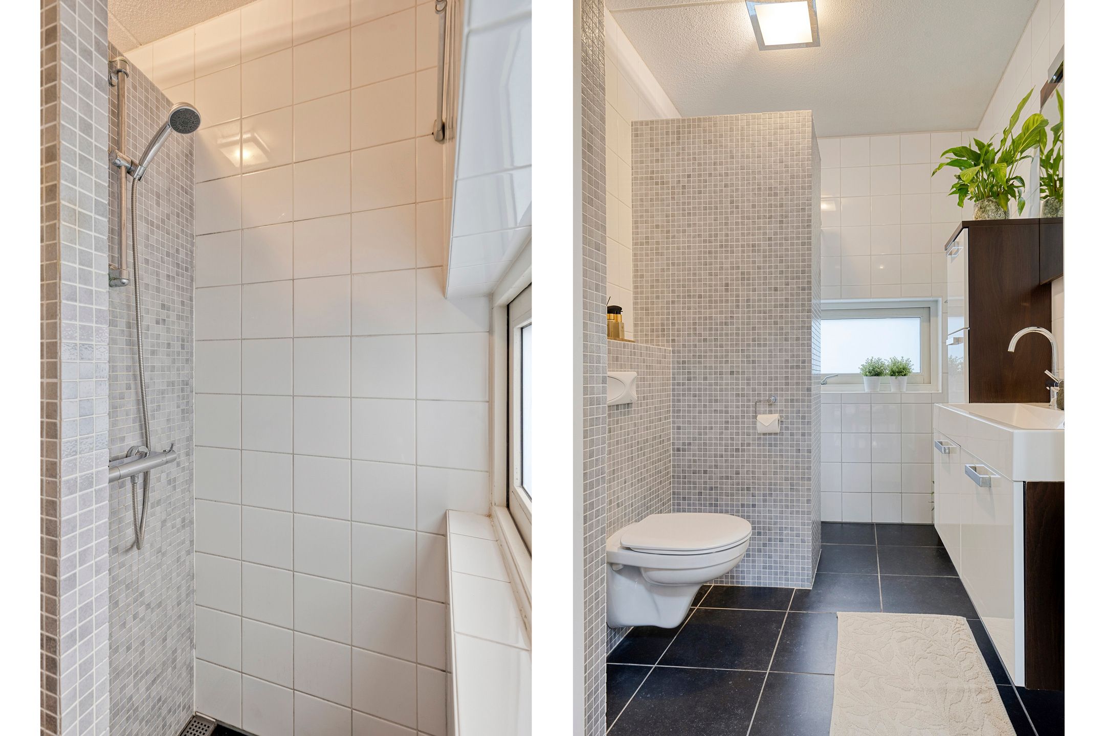 Foto 18 van Papegaaistraat 3