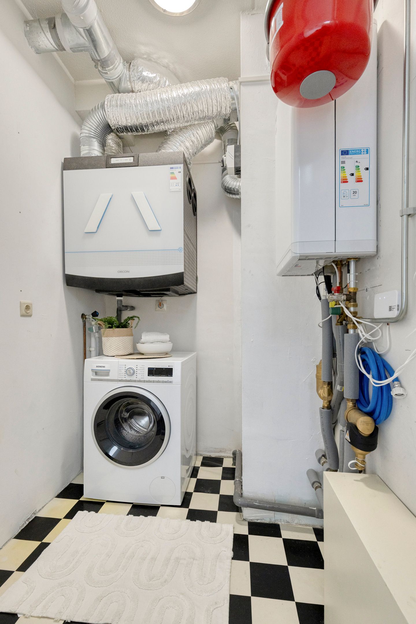 Foto 25 van Papegaaistraat 3