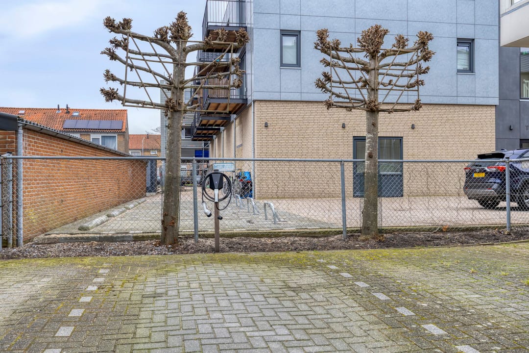 Foto 32 van Papegaaistraat 3