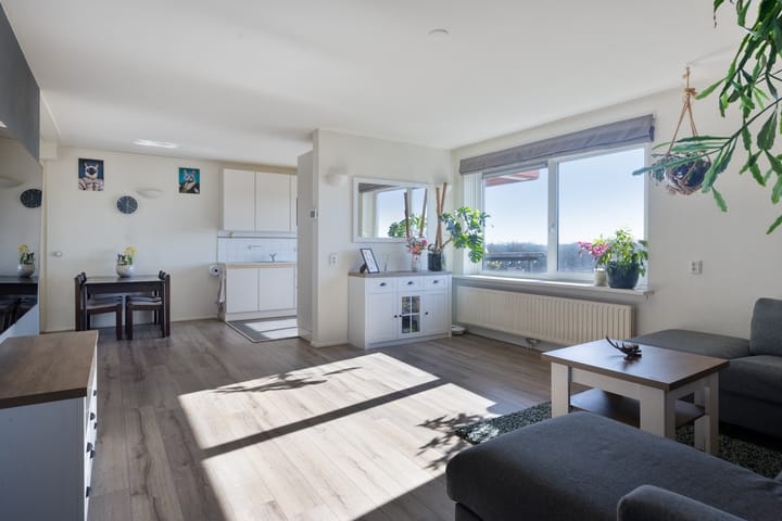 Zevenblad 64 main image