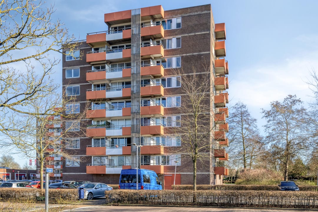 Photo 26 of Zevenblad 64