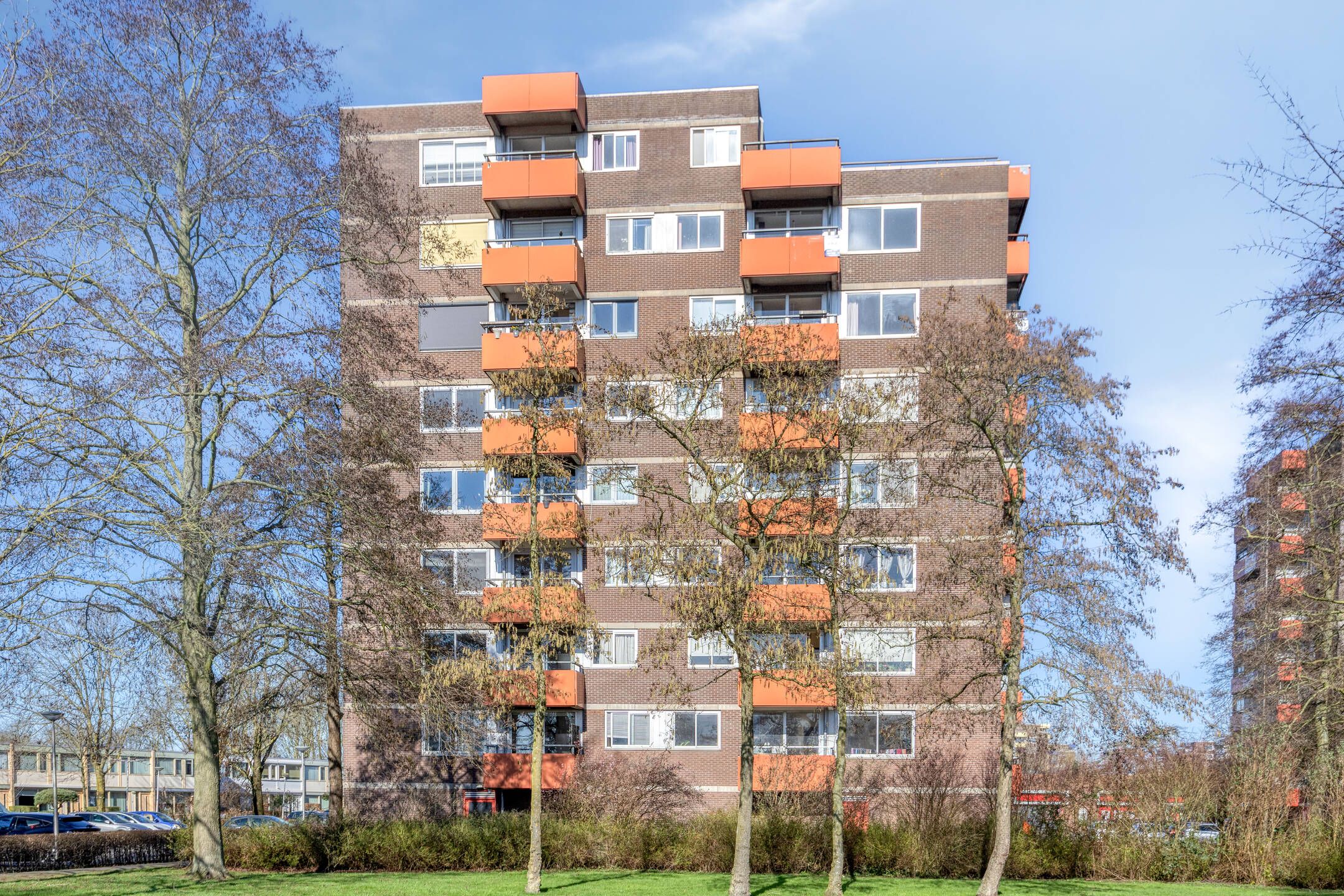 Photo 27 of Zevenblad 64
