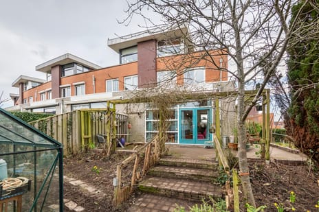 Goudhaver 35 secondary image