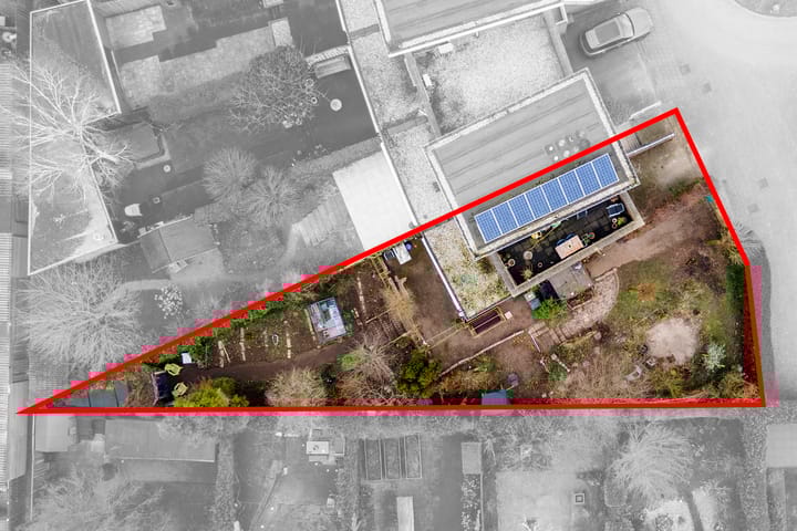 Foto 4 van Goudhaver 35